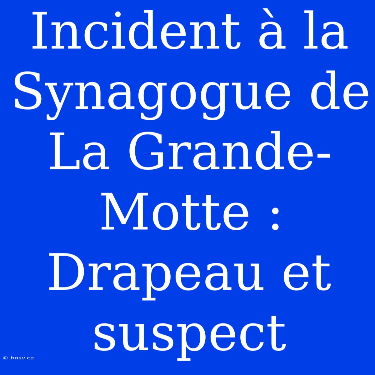 Incident À La Synagogue De La Grande-Motte : Drapeau Et Suspect