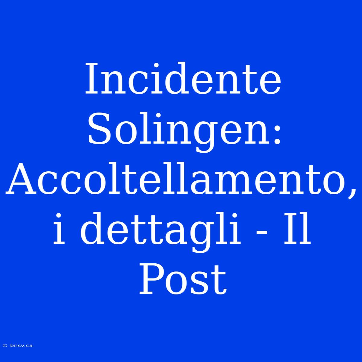 Incidente Solingen: Accoltellamento, I Dettagli - Il Post