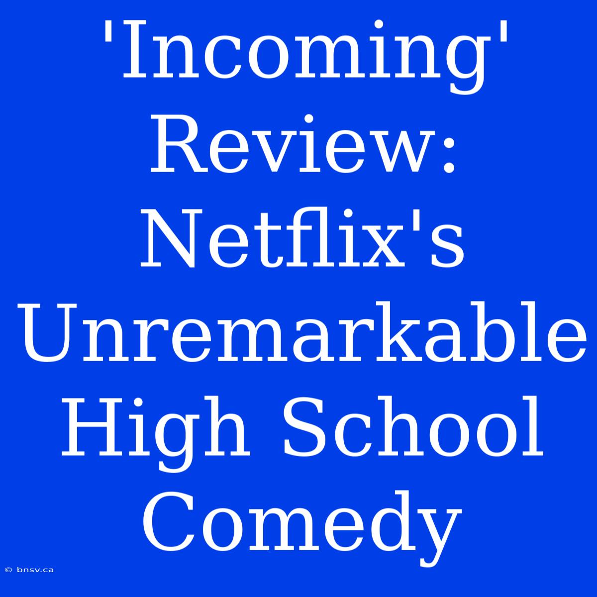 'Incoming' Review: Netflix's Unremarkable High School Comedy