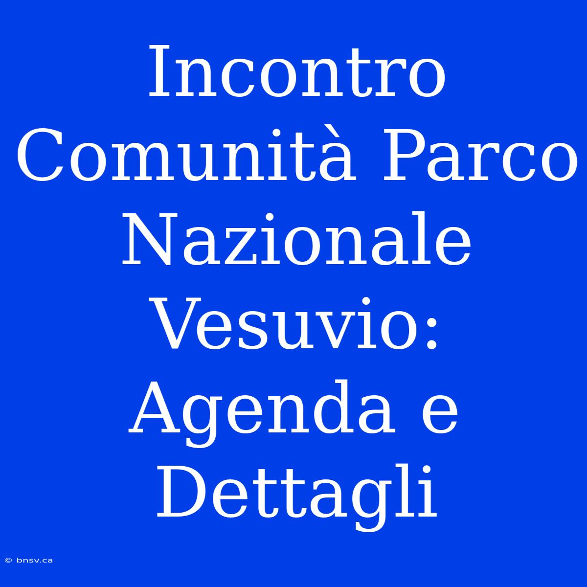 Incontro Comunità Parco Nazionale Vesuvio: Agenda E Dettagli