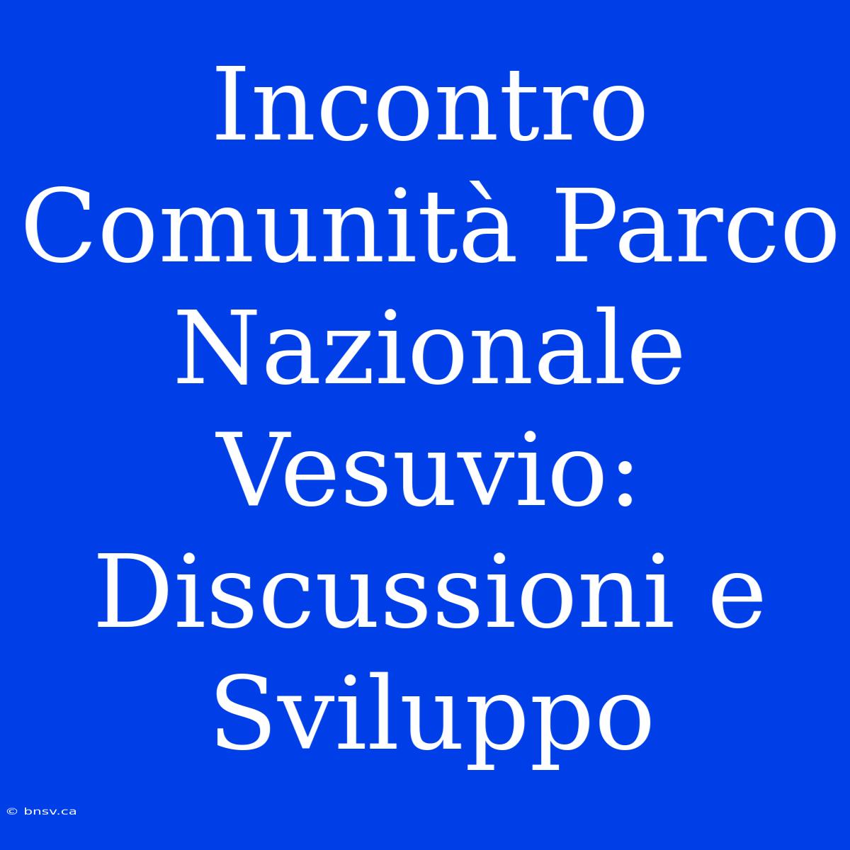 Incontro Comunità Parco Nazionale Vesuvio: Discussioni E Sviluppo