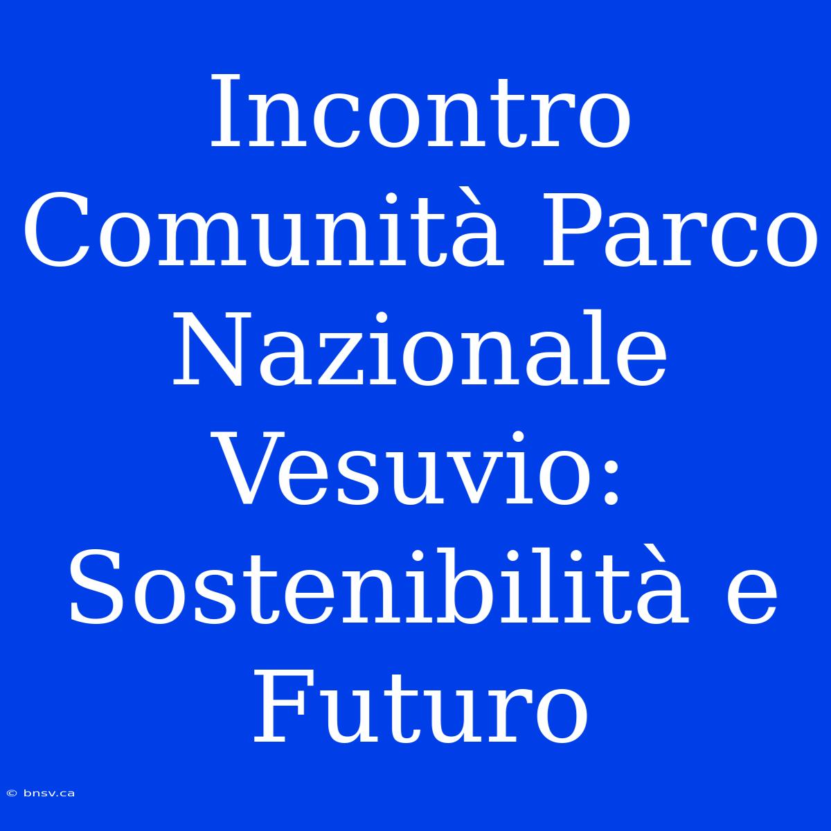 Incontro Comunità Parco Nazionale Vesuvio: Sostenibilità E Futuro