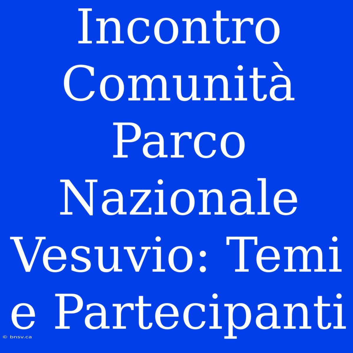 Incontro Comunità Parco Nazionale Vesuvio: Temi E Partecipanti