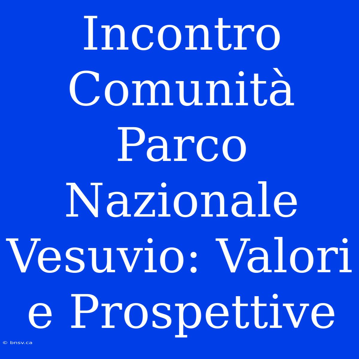 Incontro Comunità Parco Nazionale Vesuvio: Valori E Prospettive