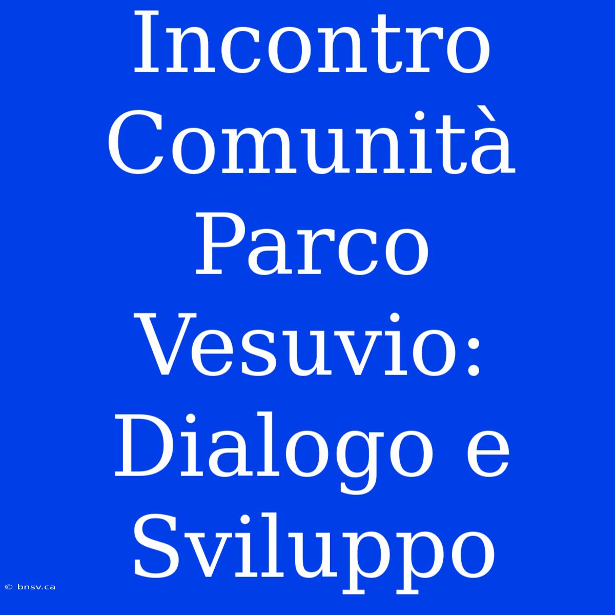 Incontro Comunità Parco Vesuvio: Dialogo E Sviluppo