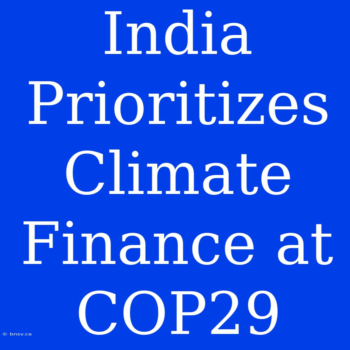 India Prioritizes Climate Finance At COP29