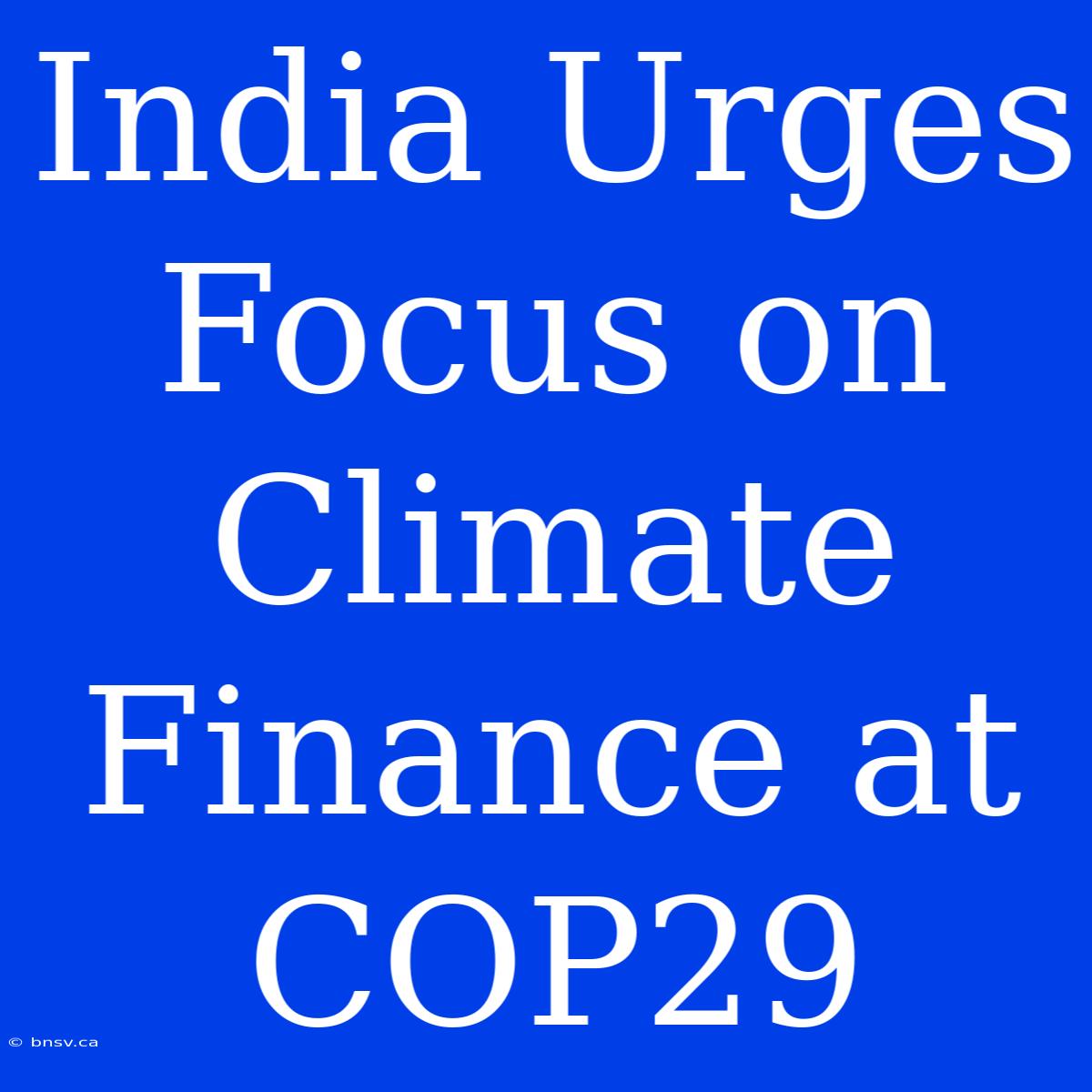 India Urges Focus On Climate Finance At COP29