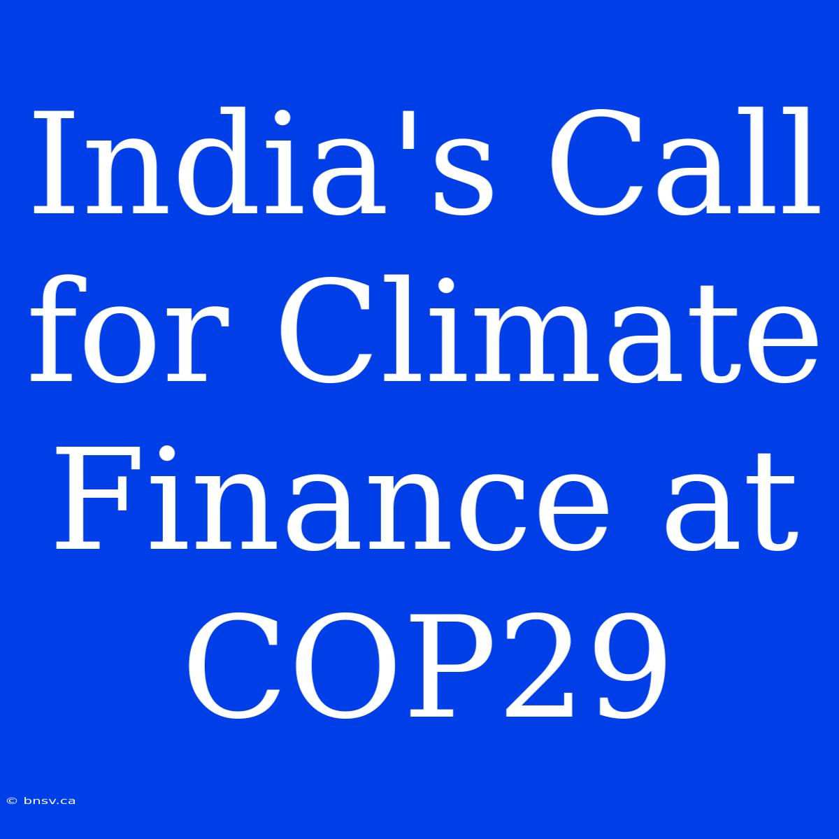 India's Call For Climate Finance At COP29