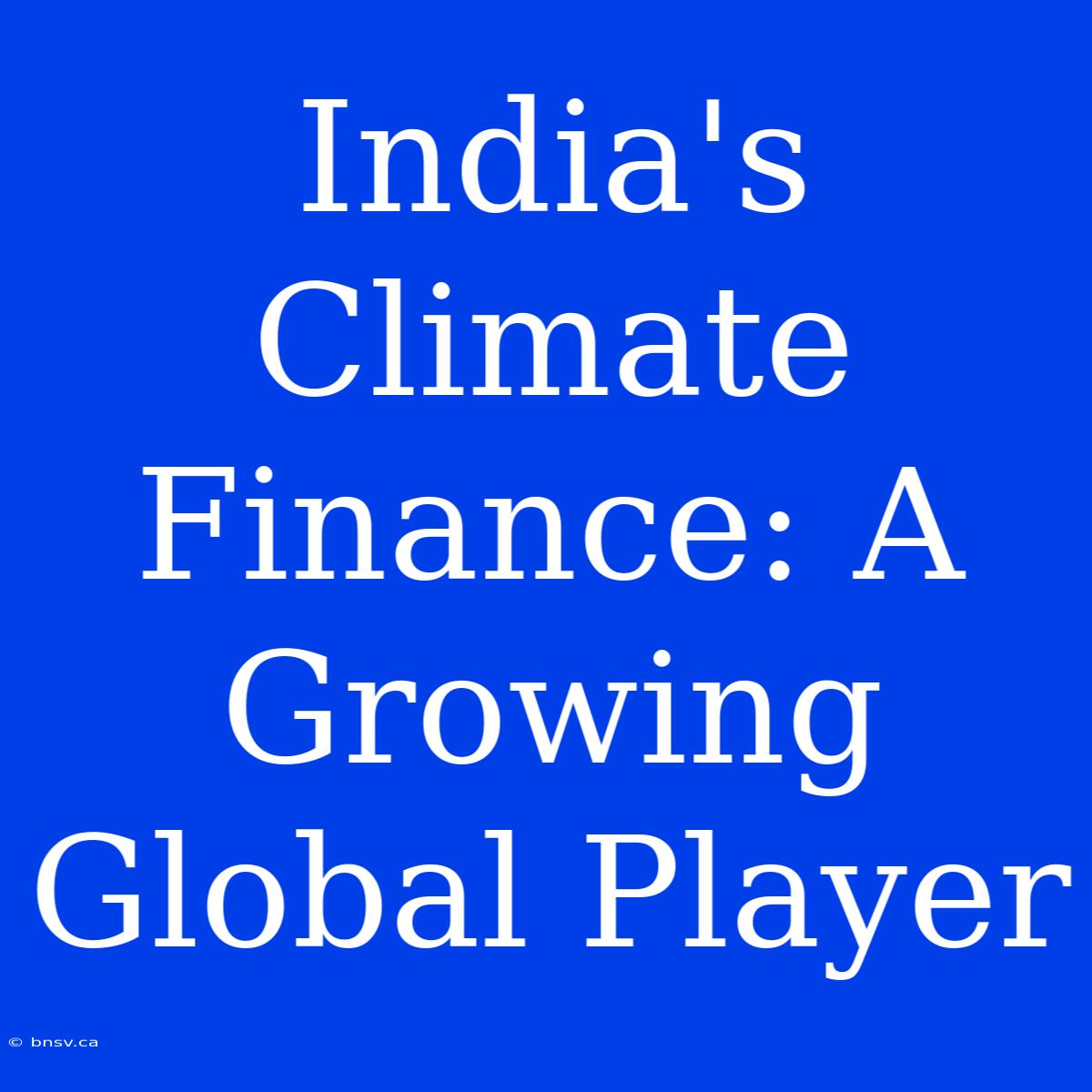 India's Climate Finance: A Growing Global Player