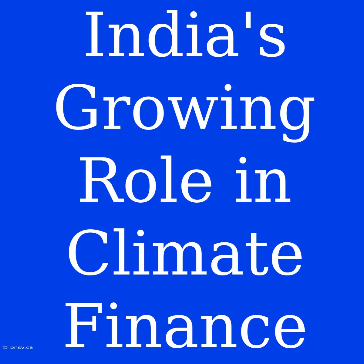 India's Growing Role In Climate Finance