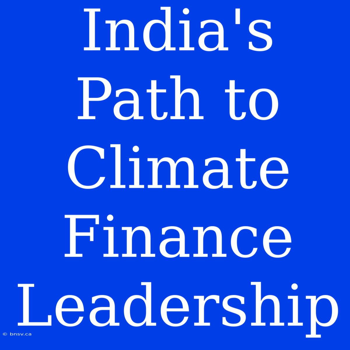 India's Path To Climate Finance Leadership