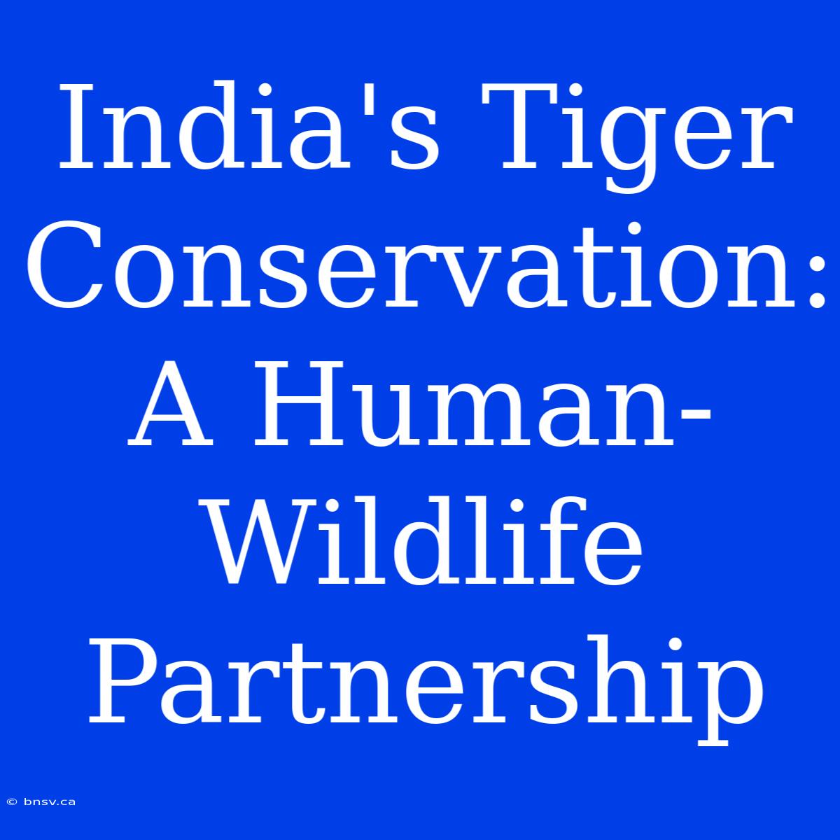 India's Tiger Conservation: A Human-Wildlife Partnership