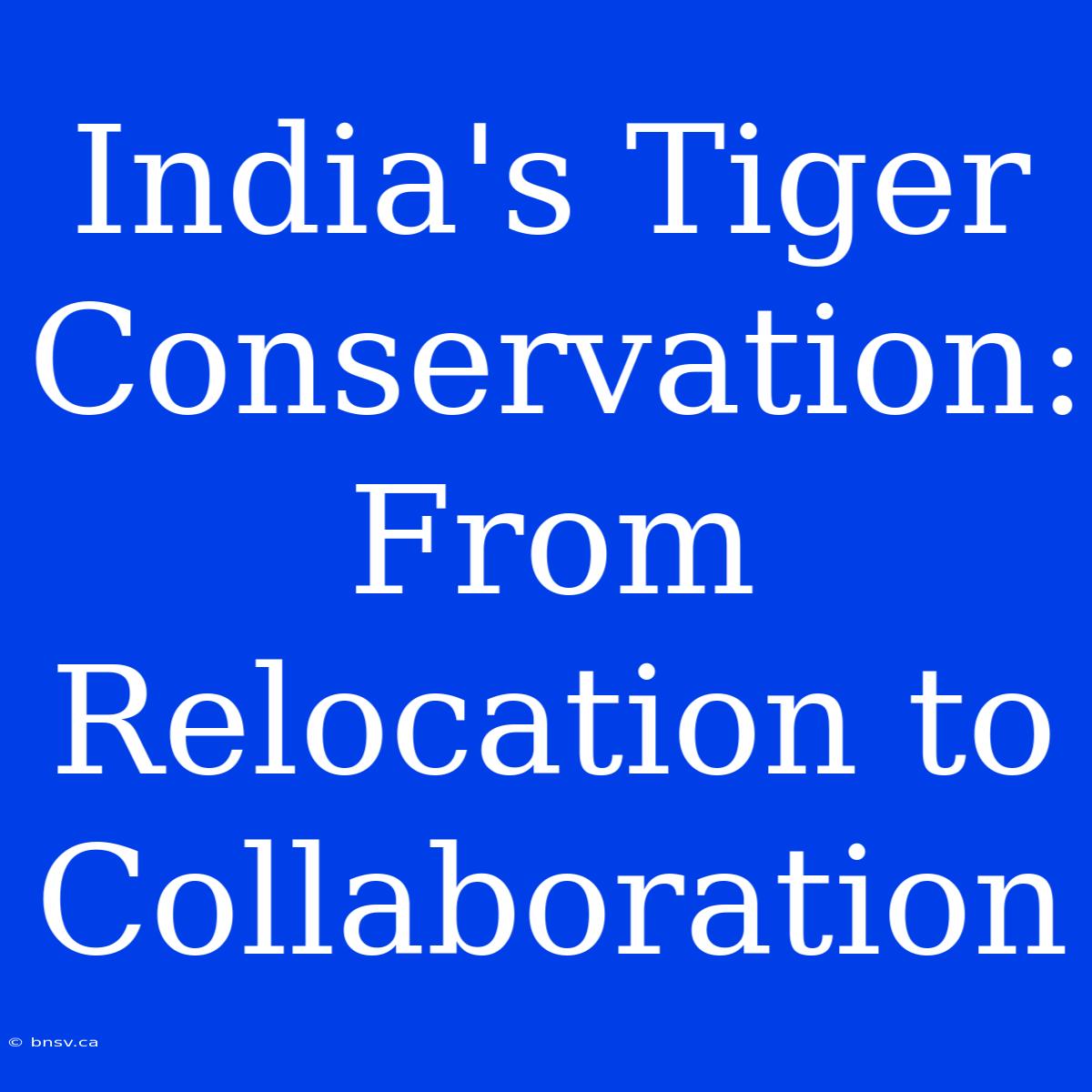 India's Tiger Conservation: From Relocation To Collaboration