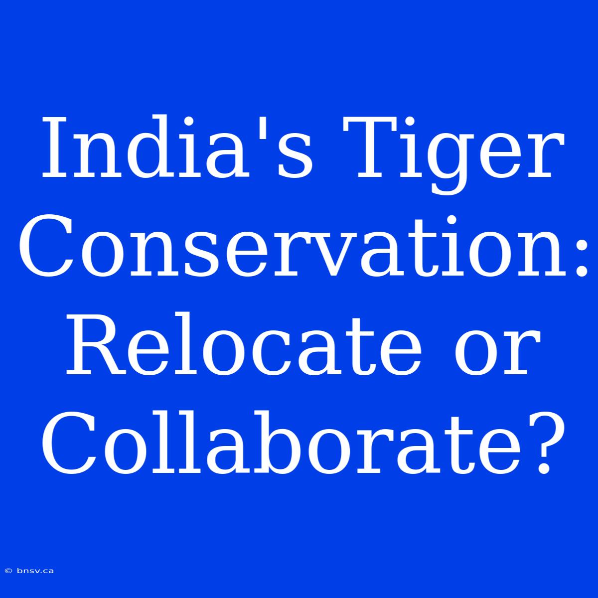 India's Tiger Conservation: Relocate Or Collaborate?