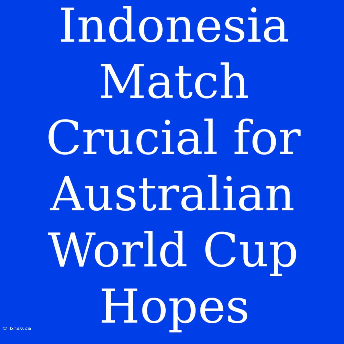 Indonesia Match Crucial For Australian World Cup Hopes