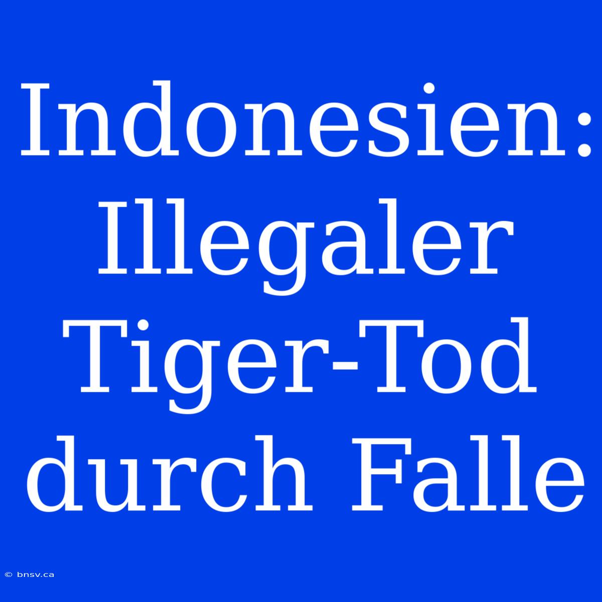 Indonesien: Illegaler Tiger-Tod Durch Falle