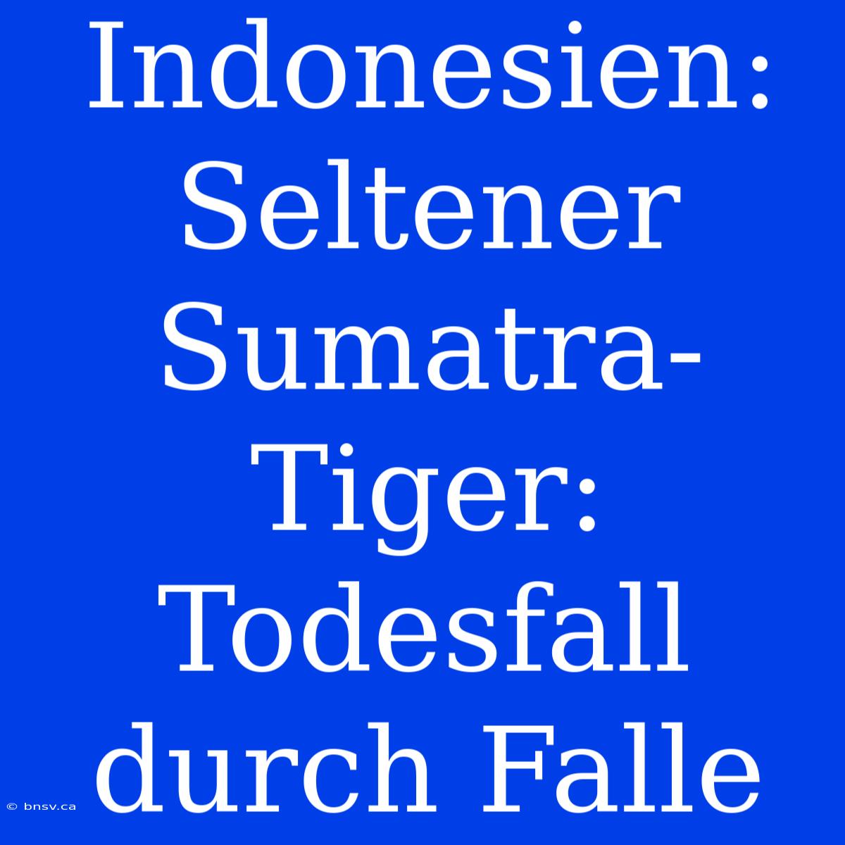 Indonesien: Seltener Sumatra-Tiger: Todesfall Durch Falle