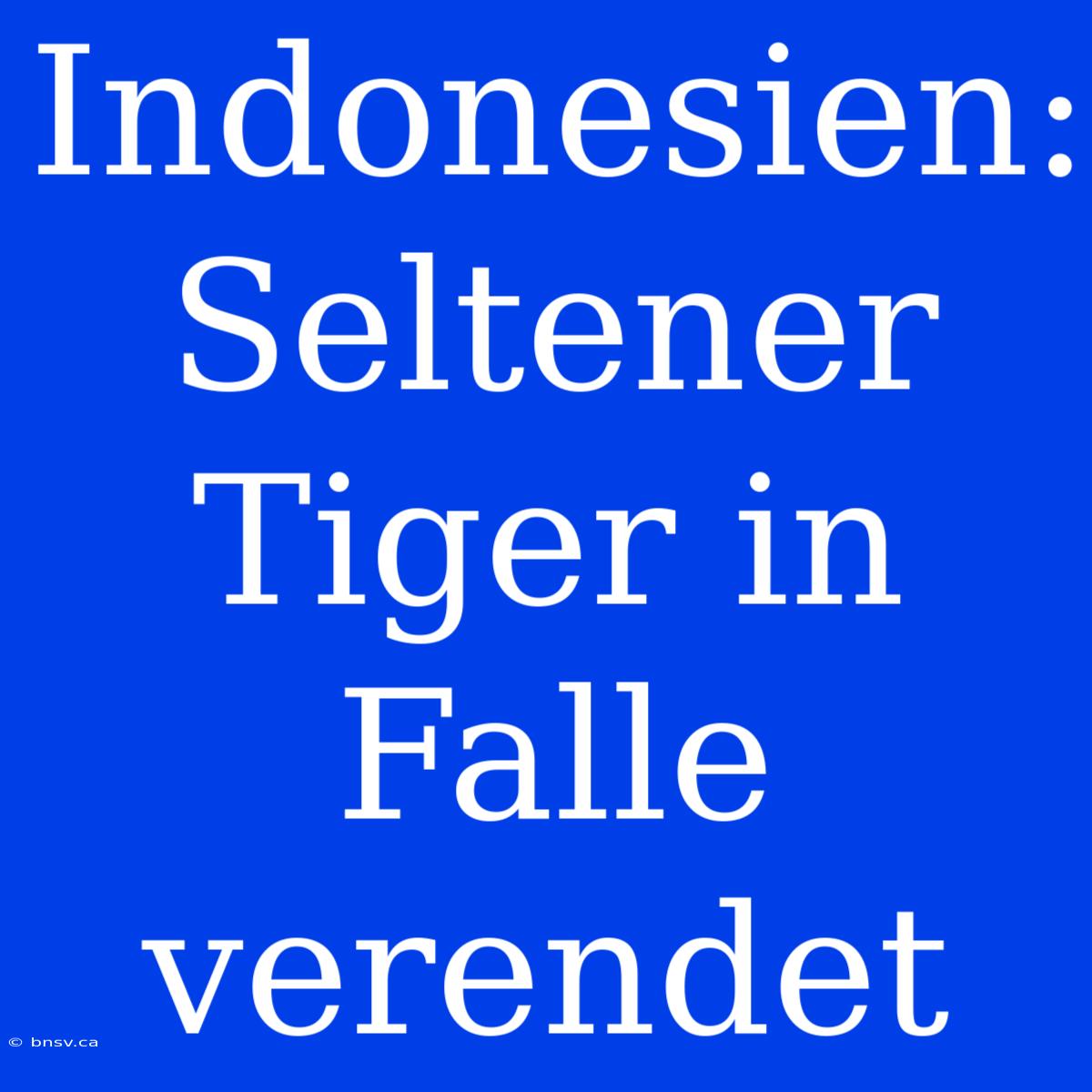 Indonesien: Seltener Tiger In Falle Verendet