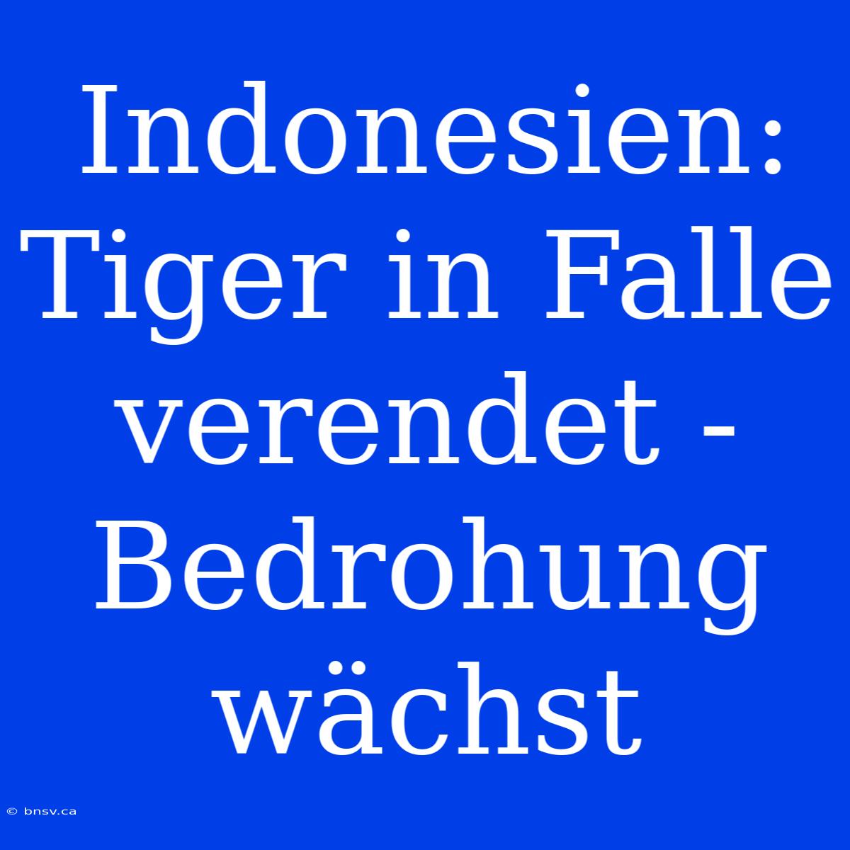 Indonesien: Tiger In Falle Verendet - Bedrohung Wächst