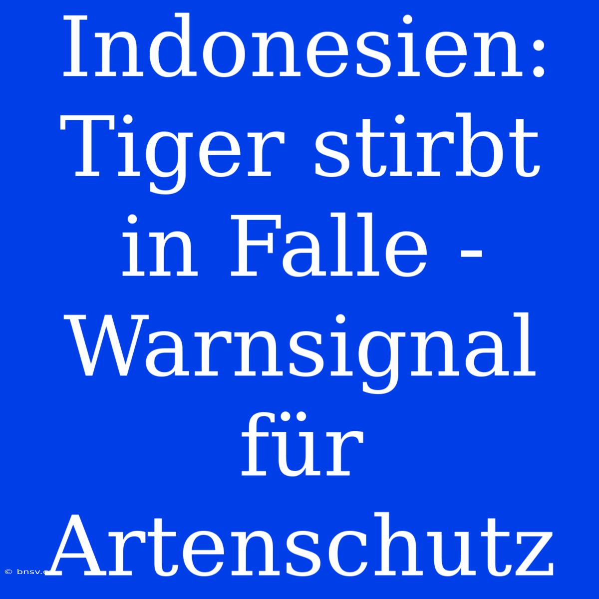 Indonesien: Tiger Stirbt In Falle - Warnsignal Für Artenschutz