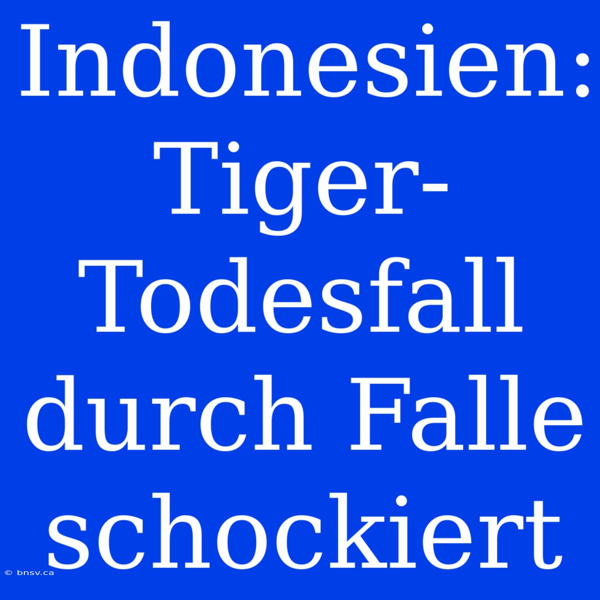 Indonesien: Tiger-Todesfall Durch Falle Schockiert