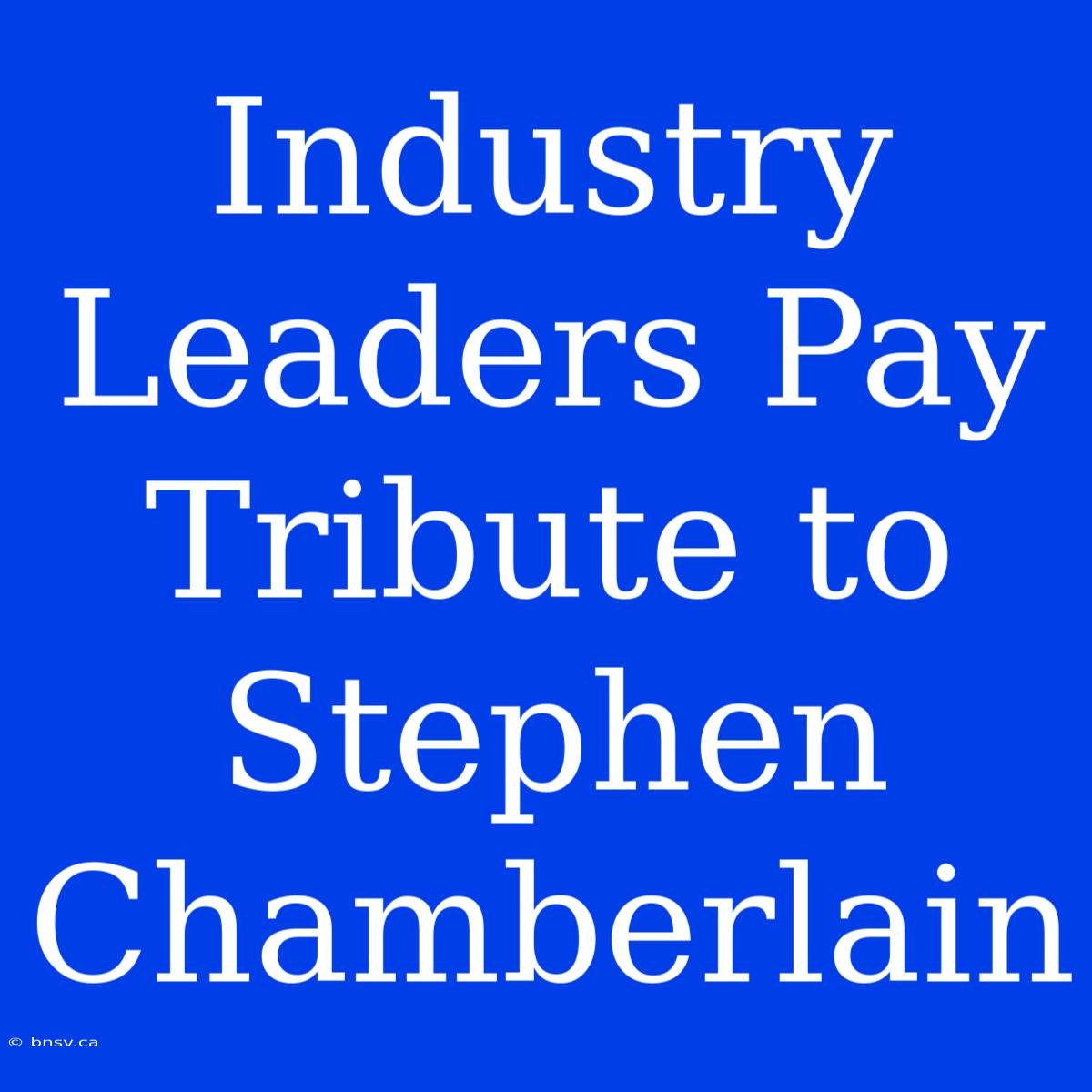 Industry Leaders Pay Tribute To Stephen Chamberlain