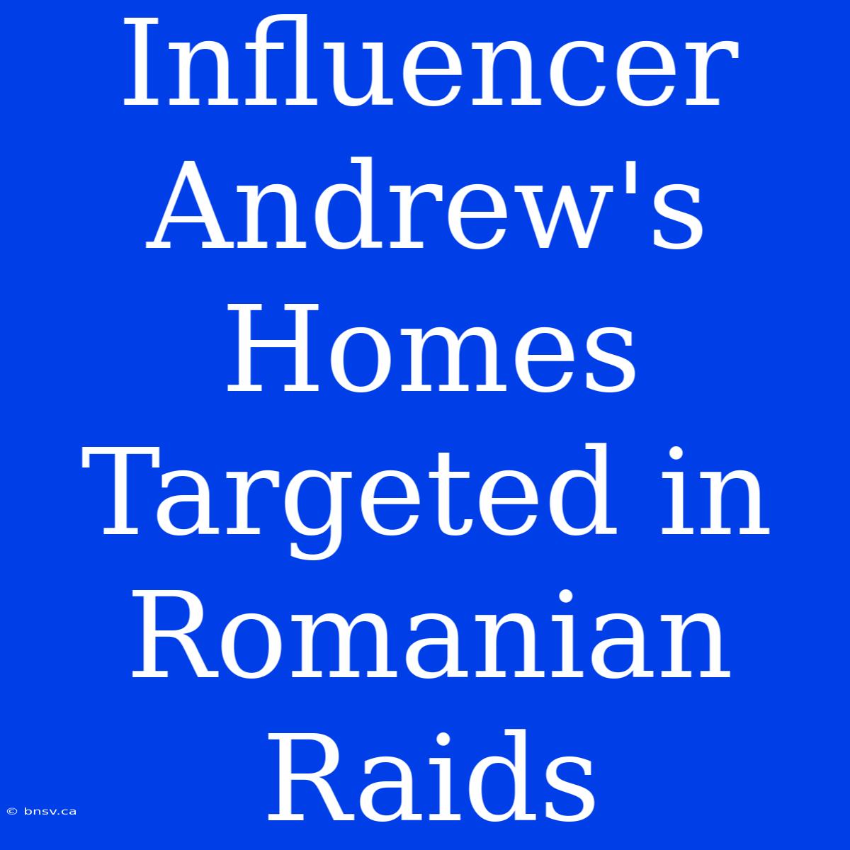 Influencer Andrew's Homes Targeted In Romanian Raids