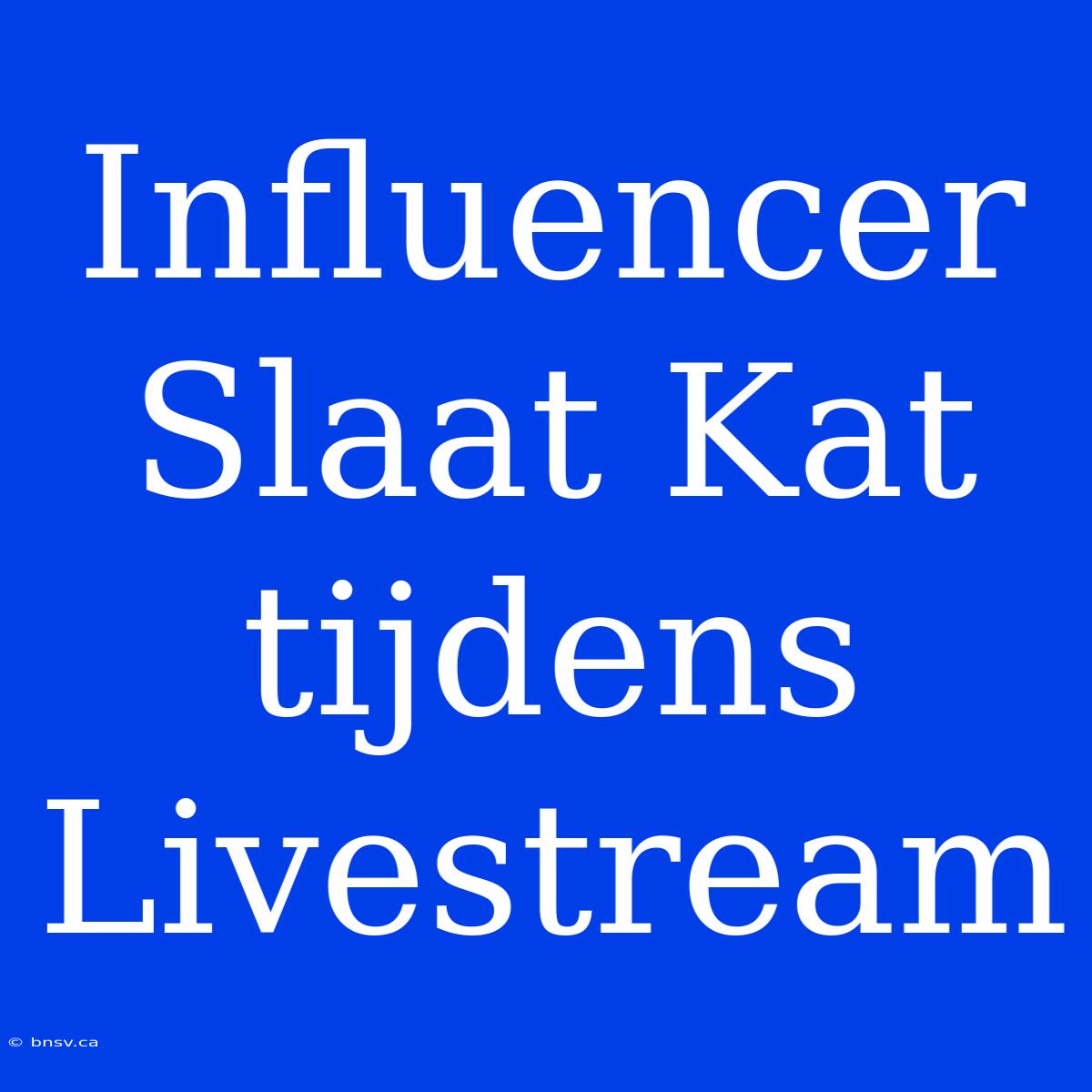 Influencer Slaat Kat Tijdens Livestream