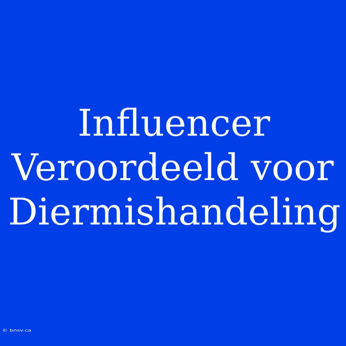 Influencer Veroordeeld Voor Diermishandeling