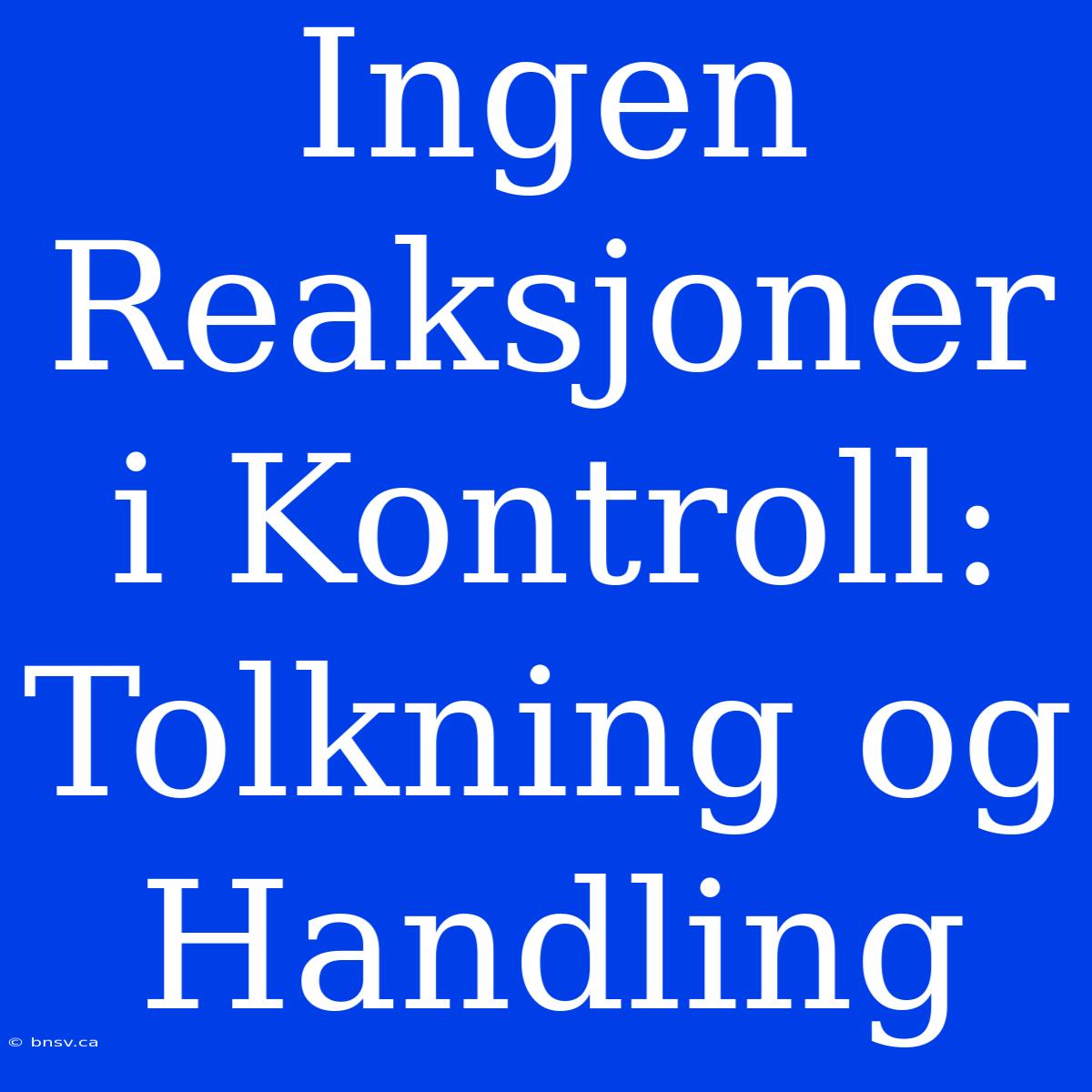 Ingen Reaksjoner I Kontroll: Tolkning Og Handling