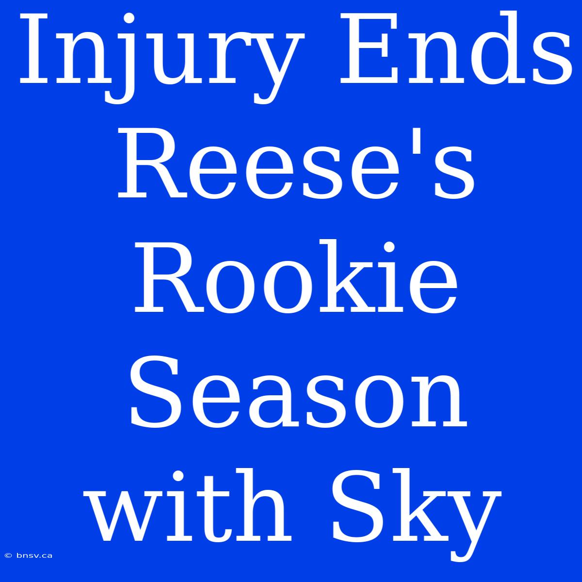 Injury Ends Reese's Rookie Season With Sky