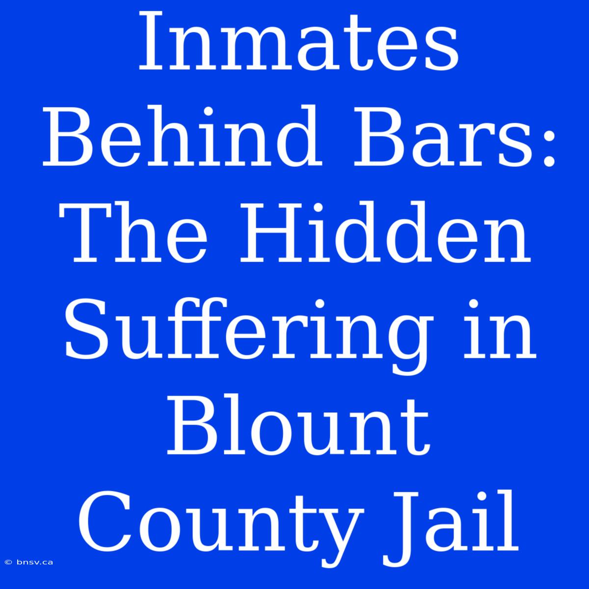 Inmates Behind Bars: The Hidden Suffering In Blount County Jail