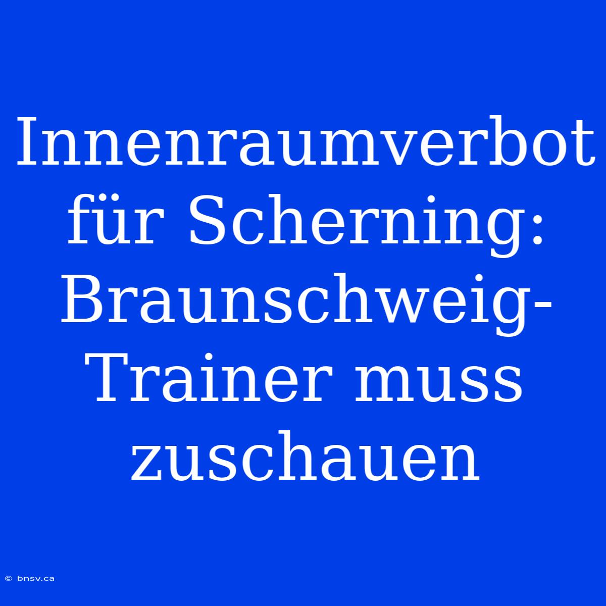 Innenraumverbot Für Scherning: Braunschweig-Trainer Muss Zuschauen