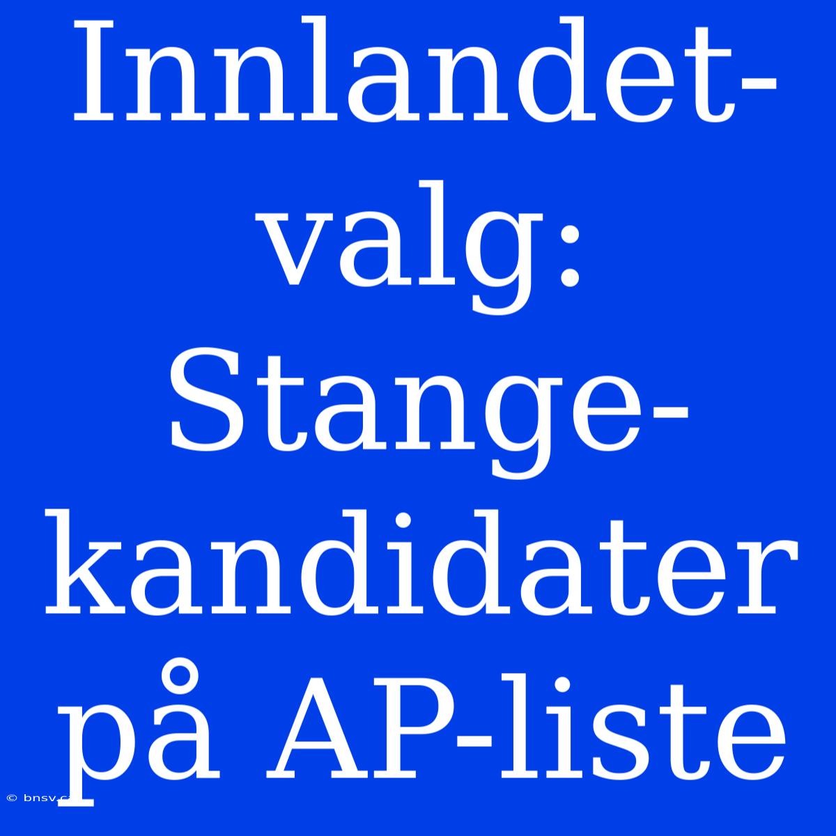 Innlandet-valg: Stange-kandidater På AP-liste