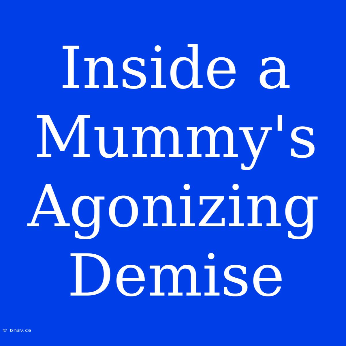 Inside A Mummy's Agonizing Demise