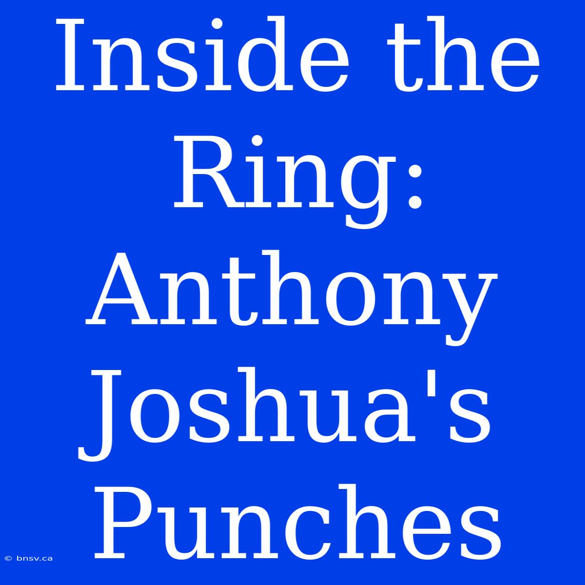 Inside The Ring: Anthony Joshua's Punches