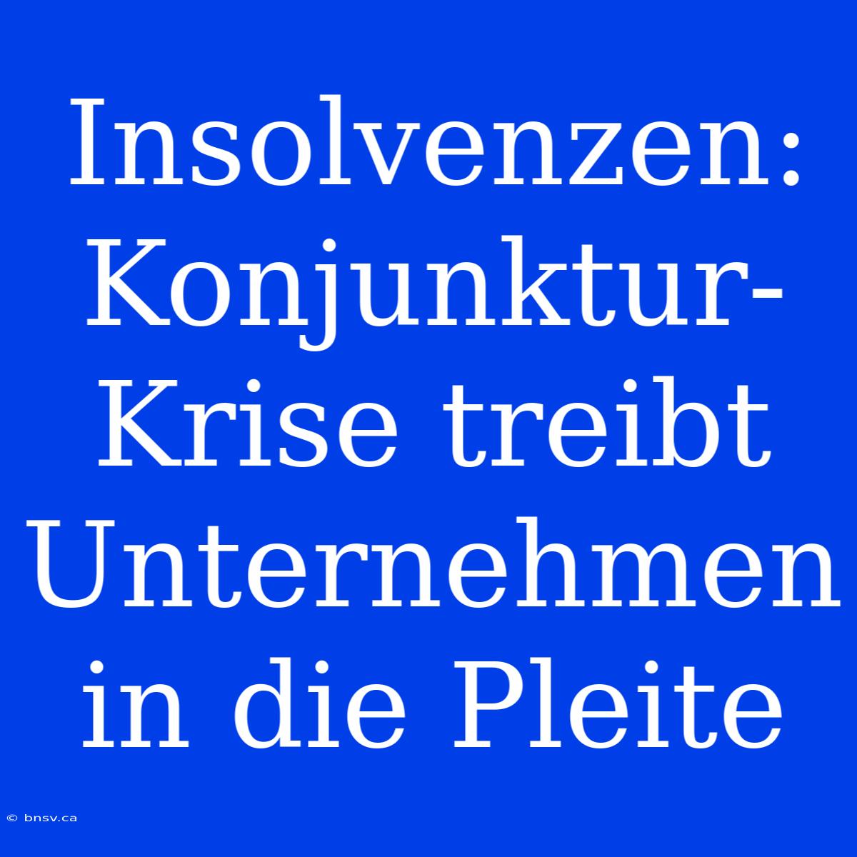 Insolvenzen: Konjunktur-Krise Treibt Unternehmen In Die Pleite