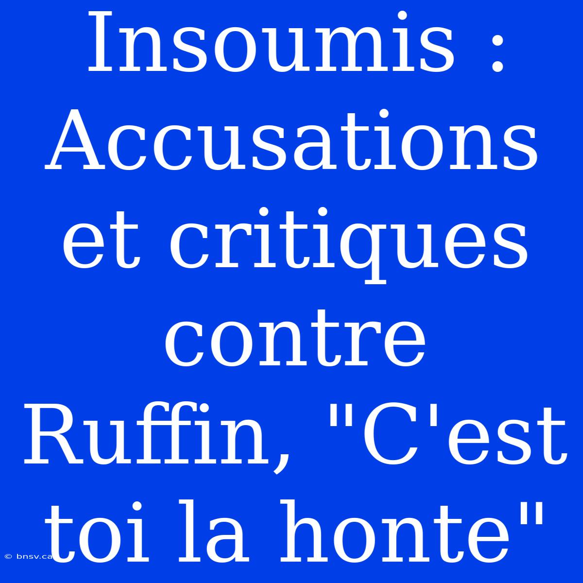 Insoumis : Accusations Et Critiques Contre Ruffin, 