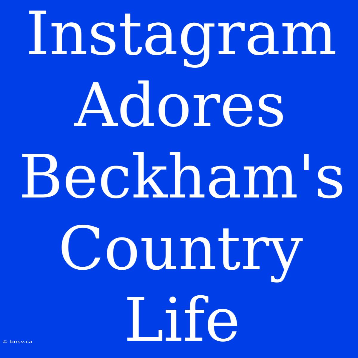 Instagram Adores Beckham's Country Life