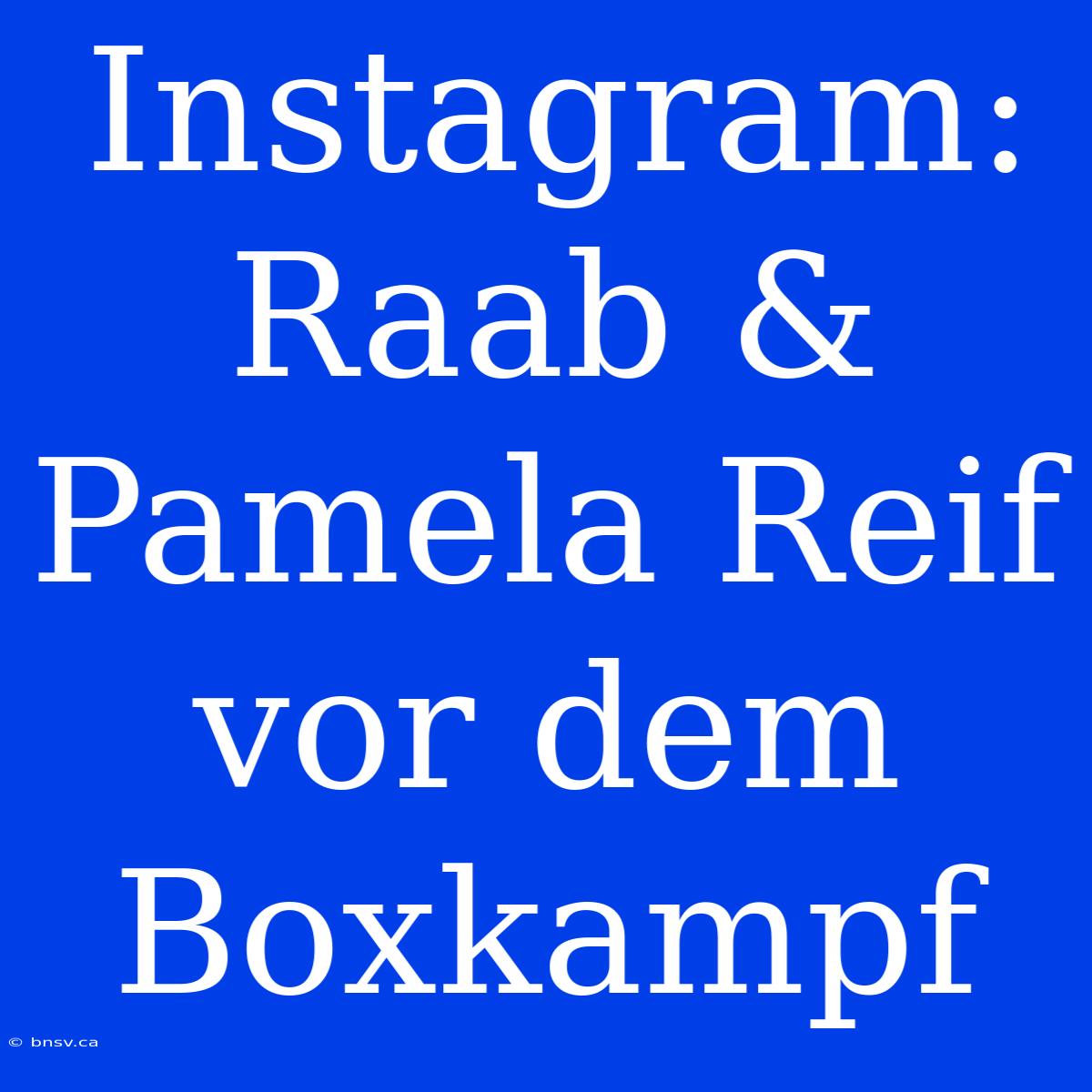 Instagram: Raab & Pamela Reif Vor Dem Boxkampf