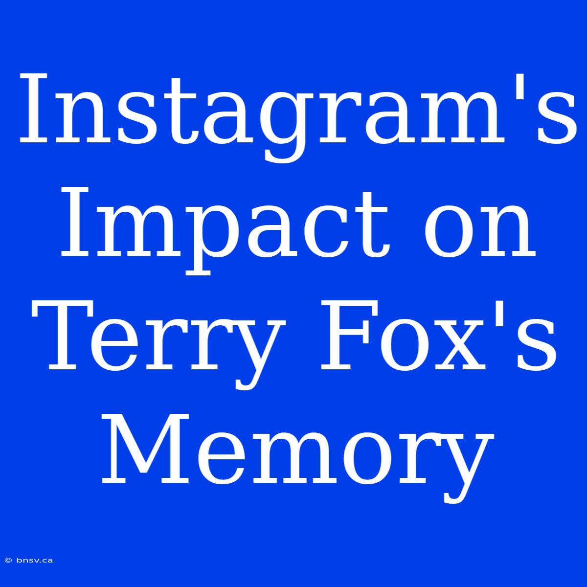 Instagram's Impact On Terry Fox's Memory