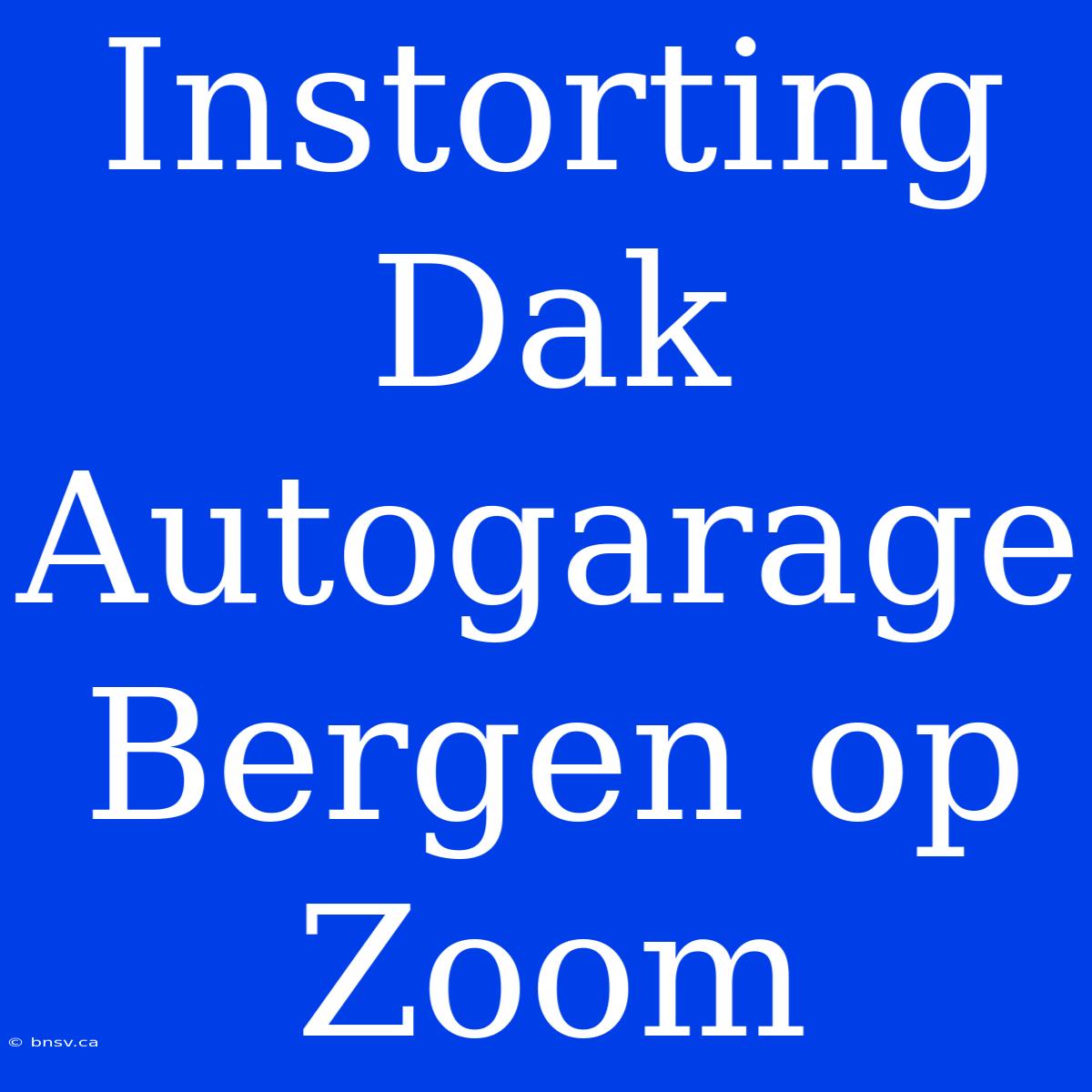 Instorting Dak Autogarage Bergen Op Zoom