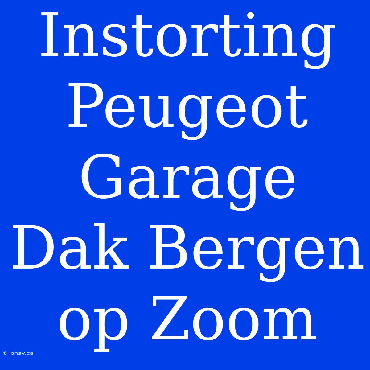 Instorting Peugeot Garage Dak Bergen Op Zoom