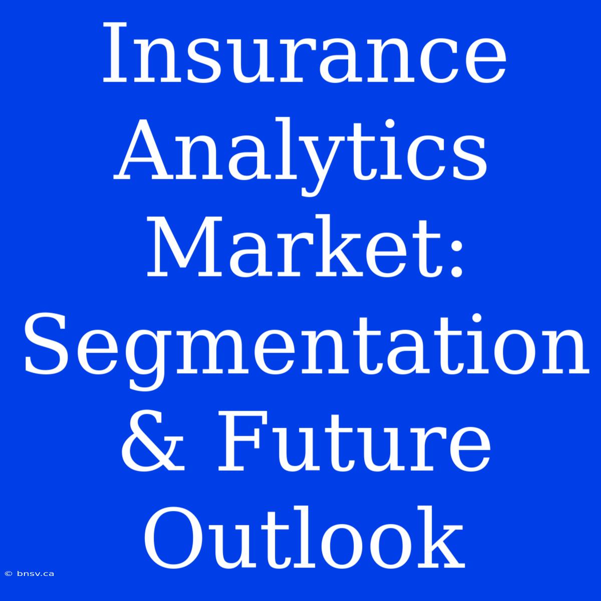 Insurance Analytics Market: Segmentation & Future Outlook