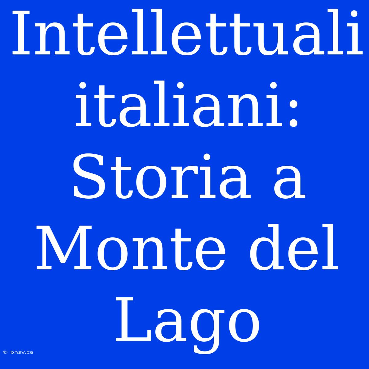 Intellettuali Italiani: Storia A Monte Del Lago