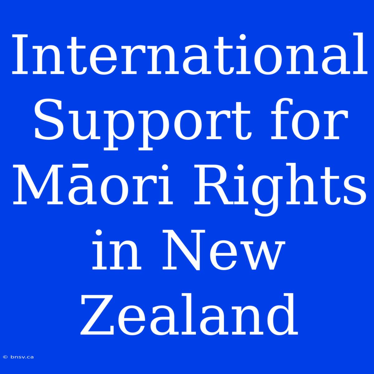 International Support For Māori Rights In New Zealand