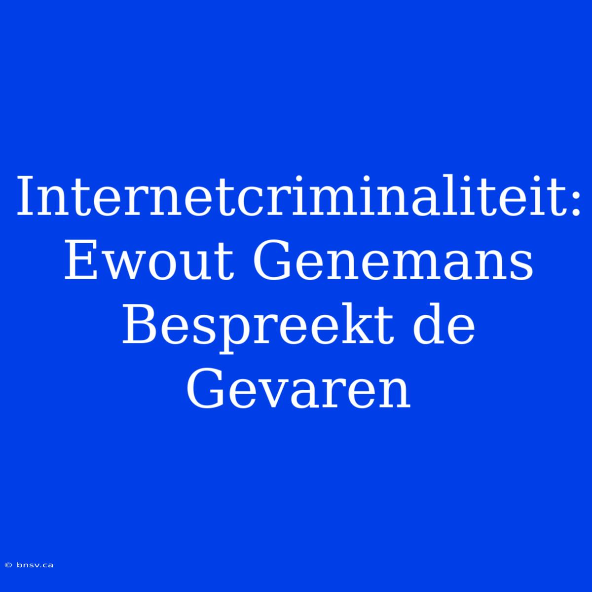 Internetcriminaliteit: Ewout Genemans Bespreekt De Gevaren