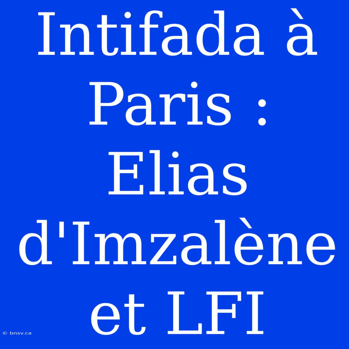 Intifada À Paris : Elias D'Imzalène Et LFI