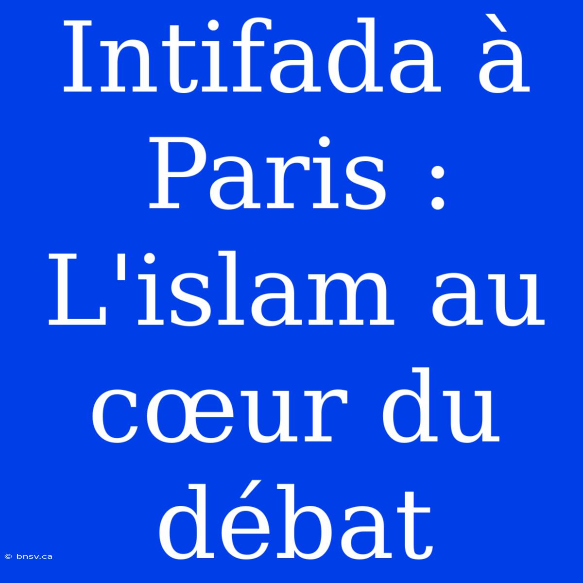 Intifada À Paris : L'islam Au Cœur Du Débat