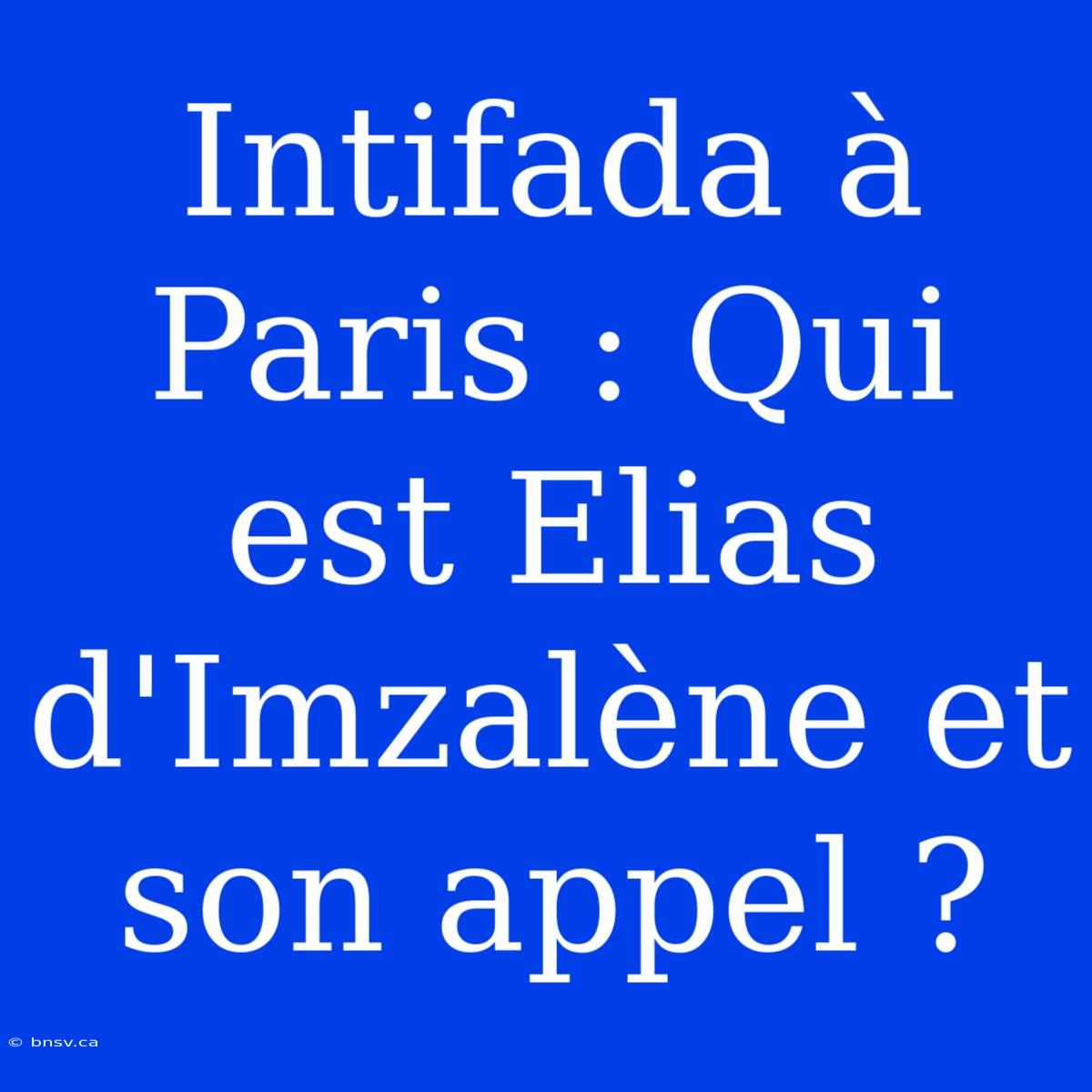 Intifada À Paris : Qui Est Elias D'Imzalène Et Son Appel ?